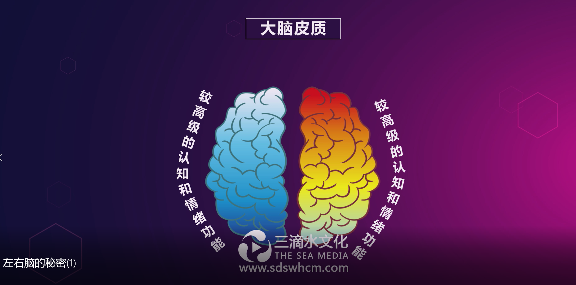 mg動畫的出現引領了新一輪營銷方式