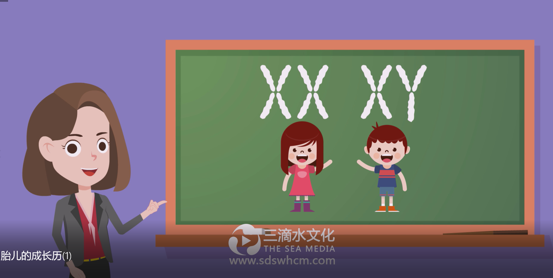 專業mg動畫宣傳片有什么效果